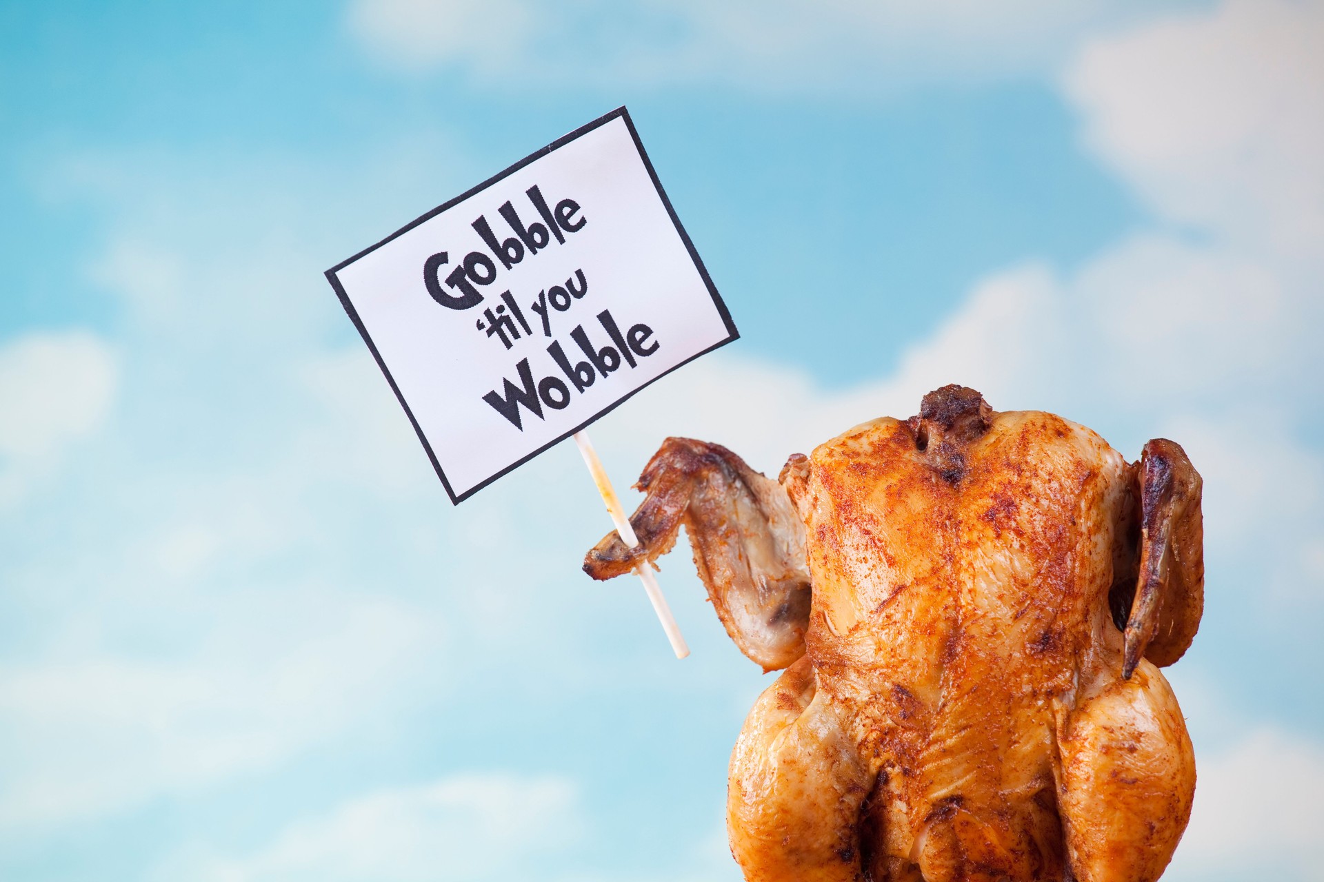 Thanksgiving turkey holding sign